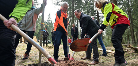 Aktion zur Wiederaufforstung nahe Oberhof (April 2022) Aktion zur Wiederaufforstung nahe Oberhof (April 2022)