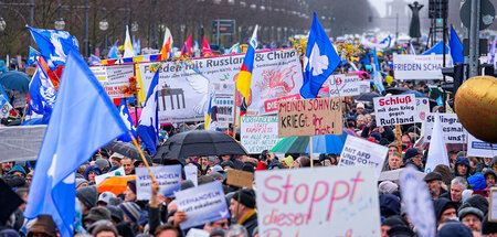 Auch in der Linkspartei wird über die Großdemonstration vom Sonn...