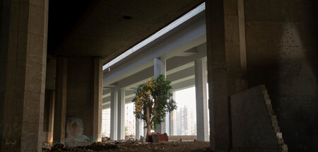 Auch eine Autobahn führt über die Insel – die Natur kämpft jedoc...