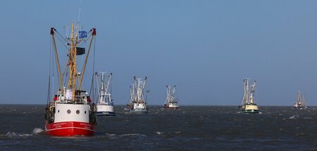 Auf hoher See: Zahlreiche Kutter bei ihrer maritimen Demonstrati...