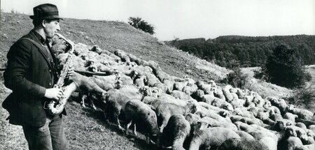 Teufelsmusik auf dem Dorf – Ungarn in den späten 1960ern