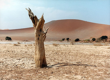 Wüstenland mit Fluß nahe der Sossusvlei ­Dune im Südwesten des s...