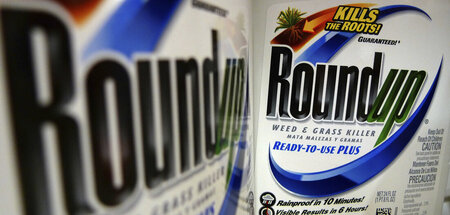 Killerprodukt: Mit dem Glyphosatmittel »Roundup« stirbt alles, a...