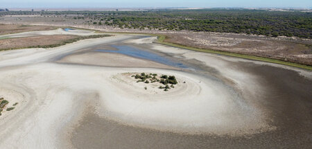 Ausgetrocknet: Die Lagune von Santa Olalla im Doñana-Nationalpar...