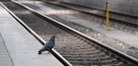 Keine Gefahr an der Bahnsteigkante: Freitag am Hauptbahnhof Münc... Keine Gefahr an der Bahnsteigkante: Freitag am Hauptbahnhof Münc...