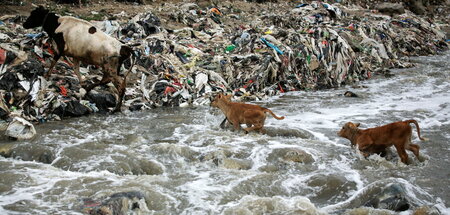 Auch durch Vermüllung ist der Zugang zu Trinkwasser in den Fluss...