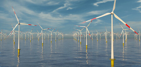 Bis 2050 sollen Offshore-Windkraftanlagen mit einer Gesamtleistu...