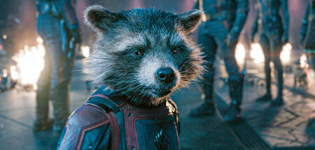 Rocket hat eine Vision: »Alle zusammen fliegen wir … ein allerle...