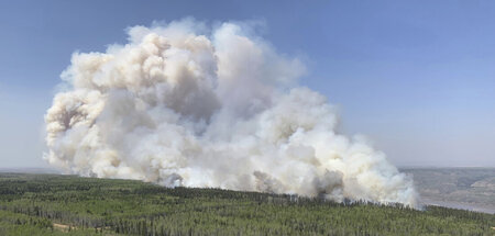 Waldbrand im Großen Prärie Bezirk von Alberta/Canada (6.5.2023)