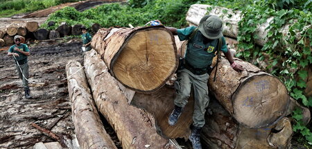 RTRMADP_3_BRAZIL-ENVIRONMENT.JPG