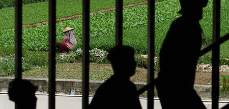 Kapitalismus von Beginn an Imperialismus: Gemüsegarten im indone... Kapitalismus von Beginn an Imperialismus: Gemüsegarten im indone...