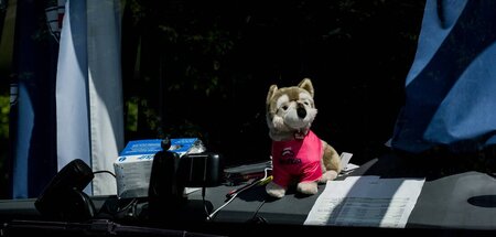 Schlechter Lauf: Giro-Maskottchen Wolfie