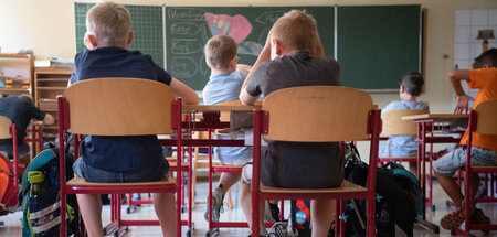 Viertklaessler_im_Su_75585259.jpg