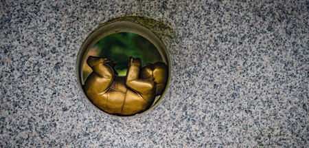 Grabstein für ein Sternenkind auf einem Berliner Friedhof