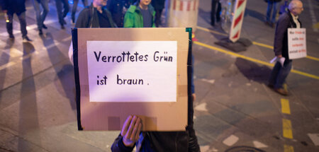 Zu kurz gesprungen: Die Grünen nonchalant zu einer faschistische...