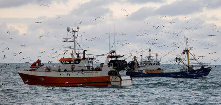Unterwegs zum großen Fang: Trawler in der Nordsee (7.12.2020)