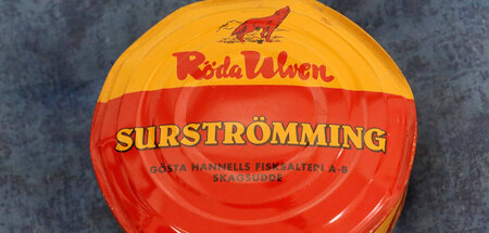 So wertvoll wie ein kleines Steak: fermentierter Hering, auch be...