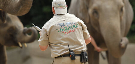 Der Tierpark Hagenbeck steht derzeit beispielhaft für betrieblic...