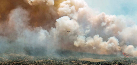 Im Kanada weiten sich die Waldbrände weiter aus