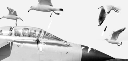 Kreativen Widerstand gegen »Air Defender 23« wird es in der lauf...