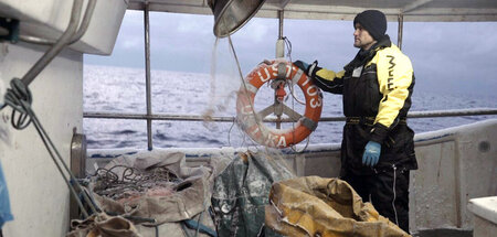 Erst senkte die EU die Fangquoten, dann kam die Pandemie: »Ostse...