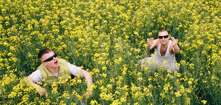 »Oh, es tut so weh / Ich hatte schon lange kein Kaassoufflé« – D...