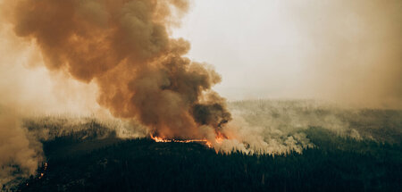 Die Flammen bedrohen vor allem indigenes Siedlungsgebiet (Baie P...