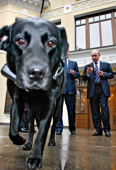 Koni, der Hund von Rußlands Premierminister Wladimir Putin (r.),...