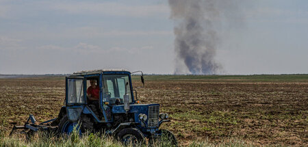 Ungewisse Ernte: Landwirtschaft im Schatten des Krieges bei Cher...