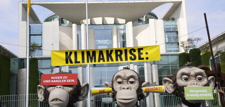 Die drei Affen der Ampelkoalition: Greenpeace-Demonstration vor ... Die drei Affen der Ampelkoalition: Greenpeace-Demonstration vor ...