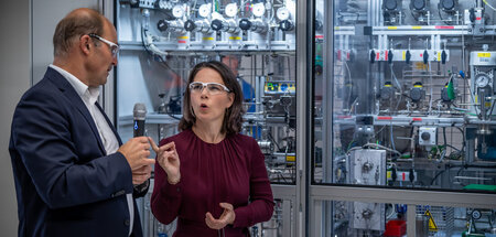 Bitte weniger China-Geschäft: Annalena Baerbock (Bündnis 90/Die ...