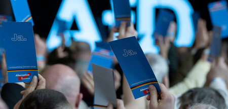Bringt die Union auf Ideen: Landesparteitag der AfD in Sachsen-A...