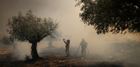 Griechische Feuerwehrmänner versuchen Olivenbäume vor dem Feuer ...
