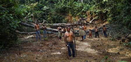 Indigene Bewohner in einem entwaldeten Gebiet des Amazonasbecken...