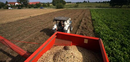 »Wir wollen reiche Ernte seh›n – verdreifacht sei, Ertrag! / Wir... »Wir wollen reiche Ernte seh›n – verdreifacht sei, Ertrag! / Wir...