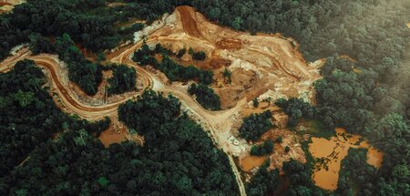 Die Entwaldung des Amazonas schreitet weiter voran Die Entwaldung des Amazonas schreitet weiter voran