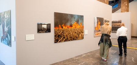 Häufig nicht zu klären: Wer hat es verbrochen?