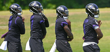 Die Riege der Quarterbacks der Baltimore Ravens: Anthony Brown, ...