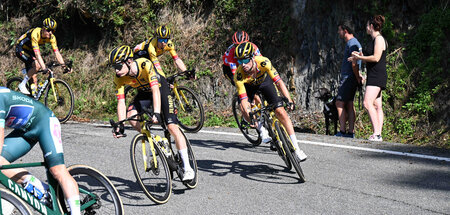 Die Killerwespen von Jumbo-Visma am Anstieg