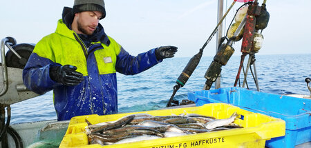 Der Fang wird immer weniger: »Zwischen Haff und Ostsee«