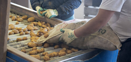 Gutes vom Bauernhof: Deutsche Kartoffeln