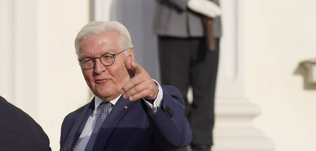 Differenzierter denken mit: Bundespräsident Frank-Walter Steinme...