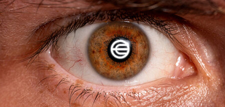 Der Irisscan als Mittel, »um strukturelle Gewalt durchzusetzen u...