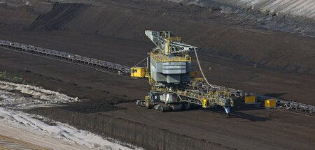 Damit die Bagger fahren können: Ein Waldstück in Sachsen soll de...