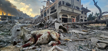 Resultat der Luftangriffe: Verheerende Zerstörung im Gazastreife...