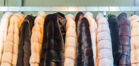 Im Pelzgeschäft: Pelze ohne Venus