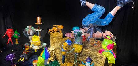 Gut gekleidet: Ananas und Co.