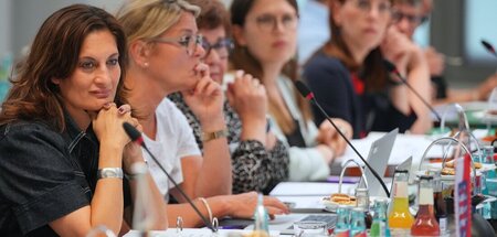 Staatssekretärin Marjam Samadzade (1. v. l.) muss nun schon zum ...
