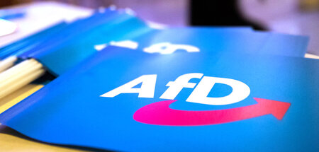 AfD-Fähnchen bei einem Landesparteitag in Bayern