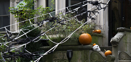 Ach, wenn es mich doch gruselte: Halloween-Vorbereitungen